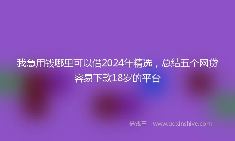 我急用钱哪里可以借2024年精选，总结五个网贷容易下款18岁的平台