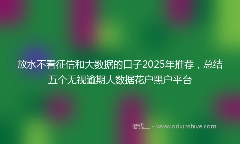 放水不看征信和大数据的口子2025年推荐，总结五个无视逾期大数据花户黑户平台