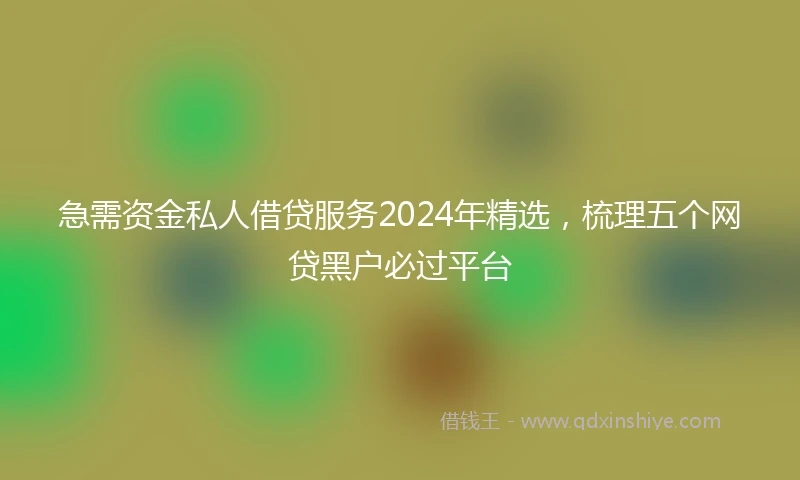 急需资金私人借贷服务2024年精选，梳理五个网贷黑户必过平台
