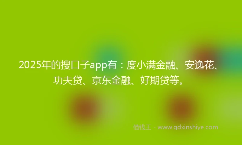 2025年的搜口子app有：度小满金融、安逸花、功夫贷、京东金融、好期贷等。