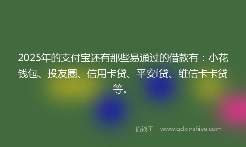 2025年的支付宝还有那些易通过的借款有：小花钱包、投友圈、信用卡贷、平安i贷、维信卡卡贷等。