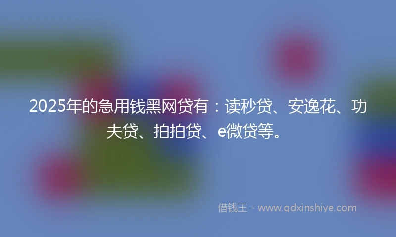 2025年的急用钱黑网贷有：读秒贷、安逸花、功夫贷、拍拍贷、e微贷等。