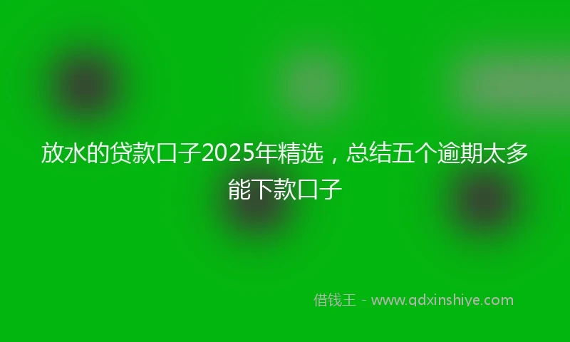 放水的贷款口子2025年精选，总结五个逾期太多能下款口子