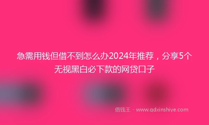 急需用钱但借不到怎么办2024年推荐，分享5个无视黑白必下款的网贷口子