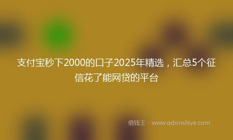 支付宝秒下2000的口子2025年精选，汇总5个征信花了能网贷的平台