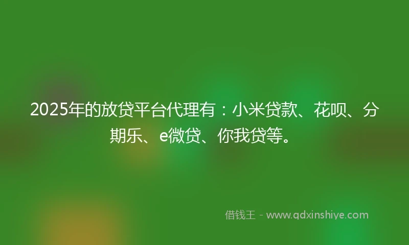 2025年的放贷平台代理有：小米贷款、花呗、分期乐、e微贷、你我贷等。