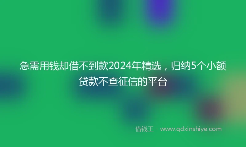 急需用钱却借不到款2024年精选，归纳5个小额贷款不查征信的平台