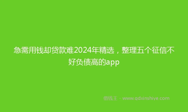 急需用钱却贷款难2024年精选，整理五个征信不好负债高的app