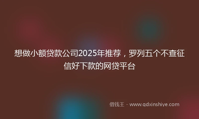 想做小额贷款公司2025年推荐，罗列五个不查征信好下款的网贷平台