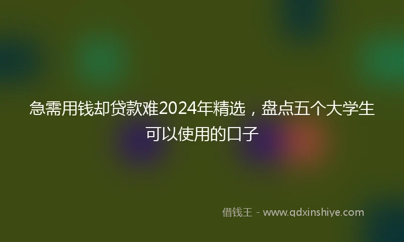 急需用钱却贷款难2024年精选，盘点五个大学生可以使用的口子