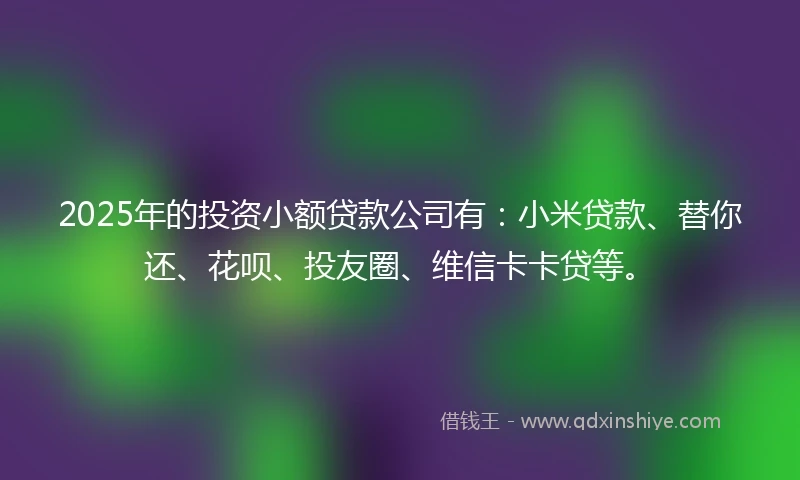 2025年的投资小额贷款公司有：小米贷款、替你还、花呗、投友圈、维信卡卡贷等。
