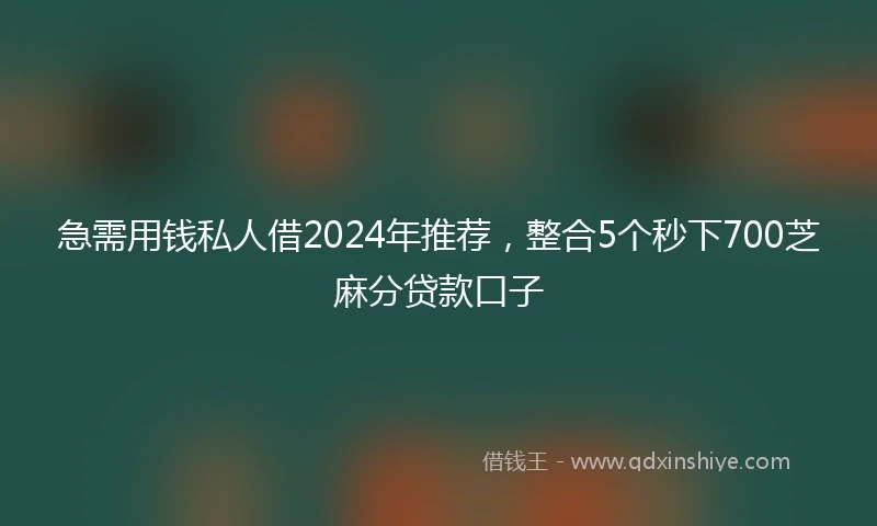 急需用钱私人借2024年推荐，整合5个秒下700芝麻分贷款口子