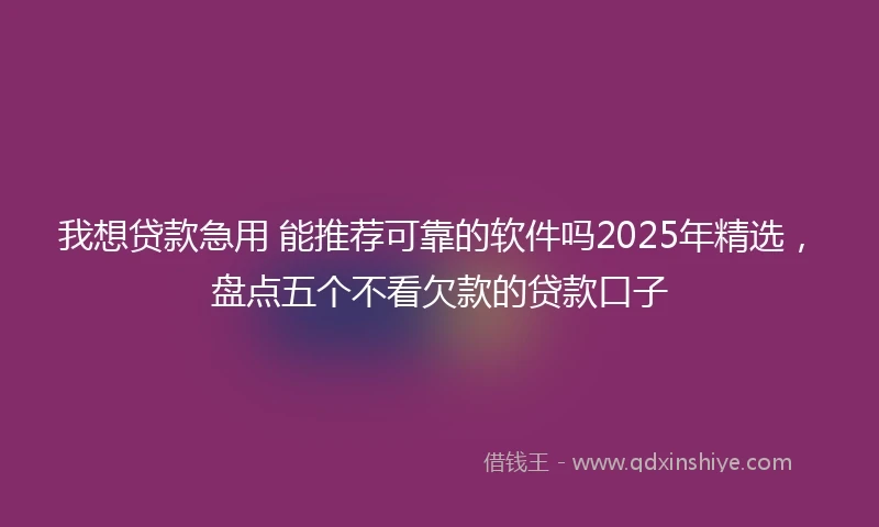我想贷款急用 能推荐可靠的软件吗2025年精选，盘点五个不看欠款的贷款口子