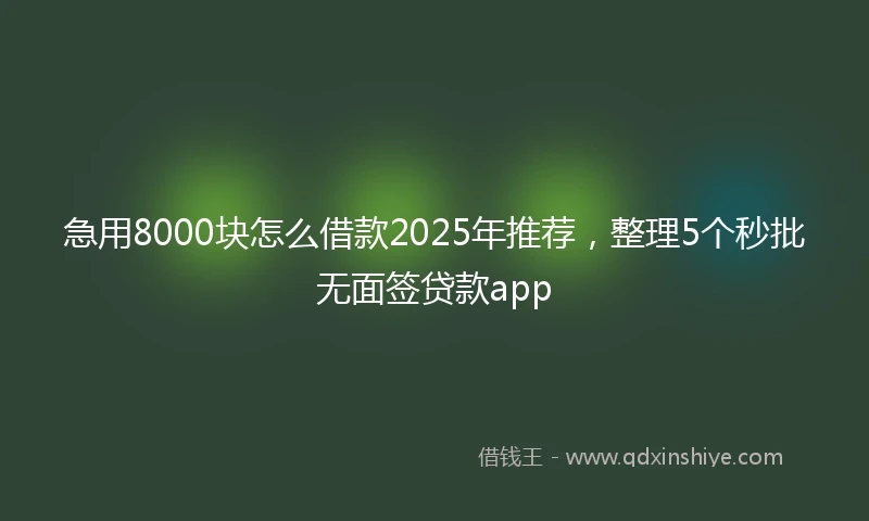 急用8000块怎么借款2025年推荐，整理5个秒批无面签贷款app