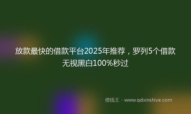 放款最快的借款平台2025年推荐，罗列5个借款无视黑白100%秒过