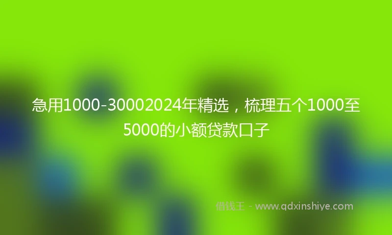 急用1000-30002024年精选，梳理五个1000至5000的小额贷款口子