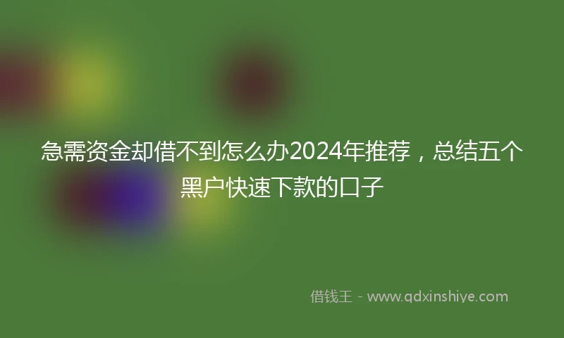 急需资金却借不到怎么办2024年推荐，总结五个黑户快速下款的口子