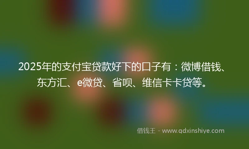 2025年的支付宝贷款好下的口子有：微博借钱、东方汇、e微贷、省呗、维信卡卡贷等。
