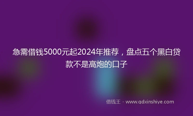 急需借钱5000元起2024年推荐，盘点五个黑白贷款不是高炮的口子