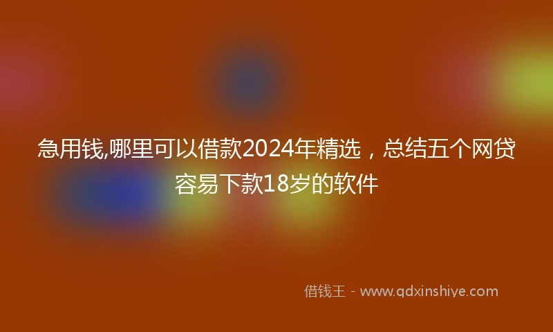 急用钱,哪里可以借款2024年精选，总结五个网贷容易下款18岁的软件