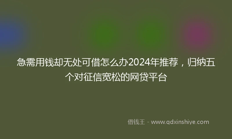 急需用钱却无处可借怎么办2024年推荐，归纳五个对征信宽松的网贷平台
