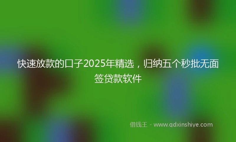 快速放款的口子2025年精选，归纳五个秒批无面签贷款软件