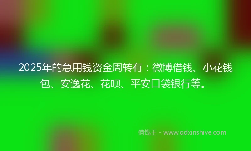 2025年的急用钱资金周转有：微博借钱、小花钱包、安逸花、花呗、平安口袋银行等。