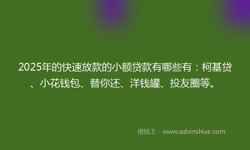 2025年的快速放款的小额贷款有哪些有：柯基贷、小花钱包、替你还、洋钱罐、投友圈等。