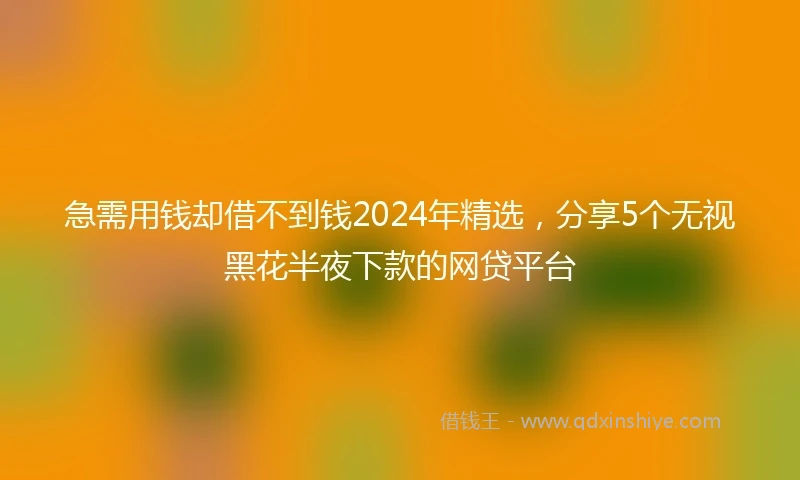 急需用钱却借不到钱2024年精选，分享5个无视黑花半夜下款的网贷平台
