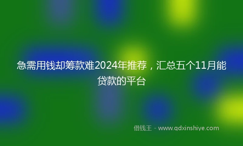 急需用钱却筹款难2024年推荐，汇总五个11月能贷款的平台