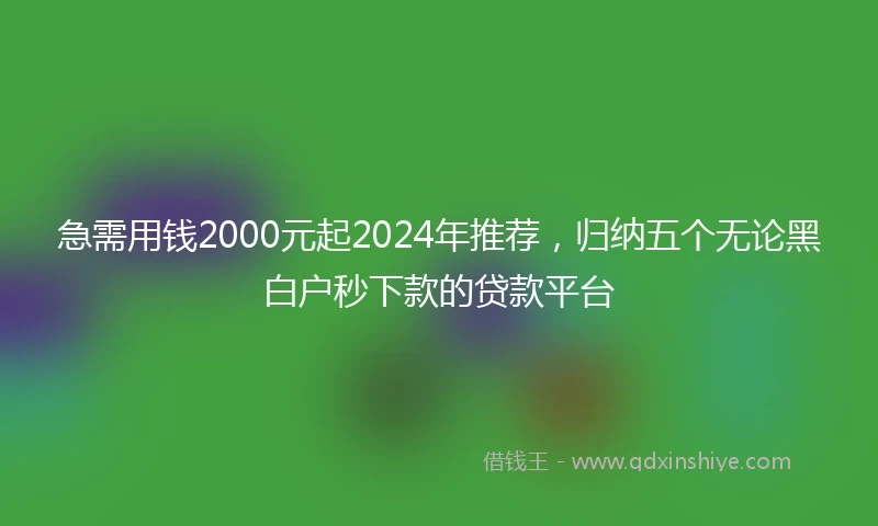 急需用钱2000元起2024年推荐，归纳五个无论黑白户秒下款的贷款平台