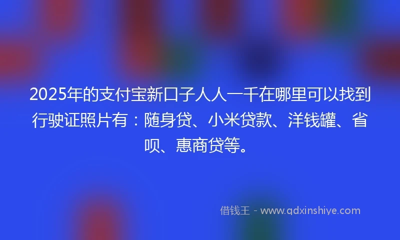 2025年的支付宝新口子人人一千在哪里可以找到行驶证照片有：随身贷、小米贷款、洋钱罐、省呗、惠商贷等。