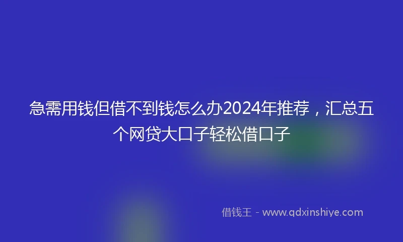 急需用钱但借不到钱怎么办2024年推荐，汇总五个网贷大口子轻松借口子