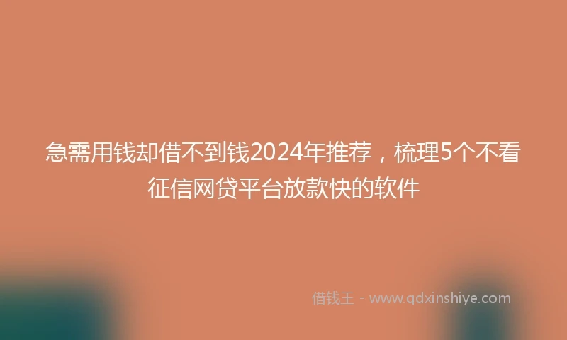 急需用钱却借不到钱2024年推荐，梳理5个不看征信网贷平台放款快的软件