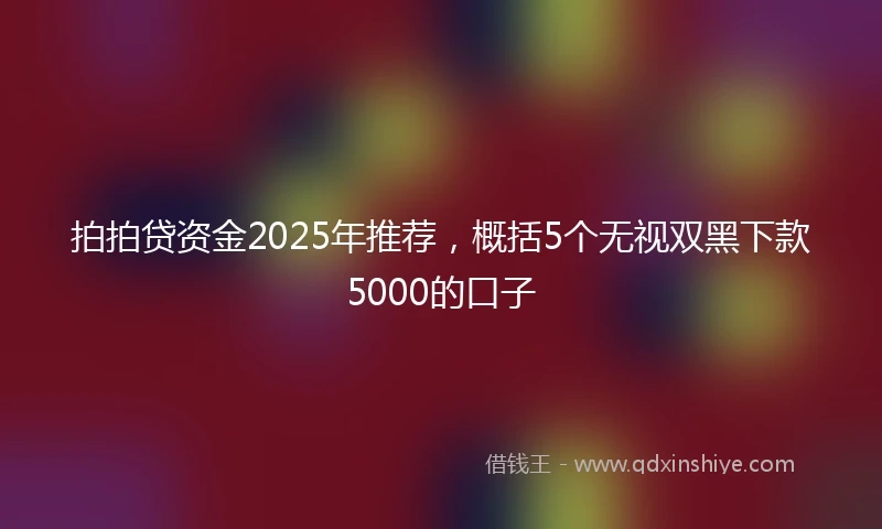 拍拍贷资金2025年推荐，概括5个无视双黑下款5000的口子