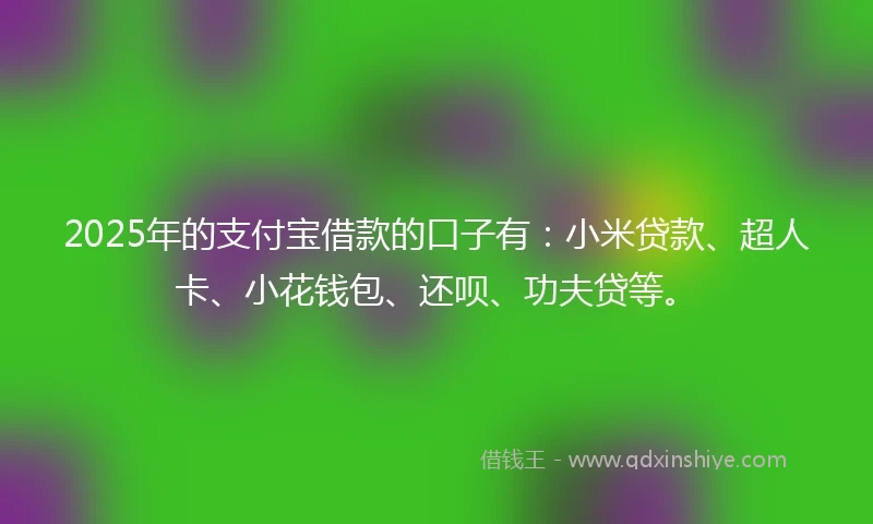 2025年的支付宝借款的口子有：小米贷款、超人卡、小花钱包、还呗、功夫贷等。