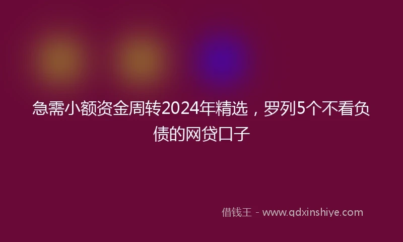 急需小额资金周转2024年精选，罗列5个不看负债的网贷口子