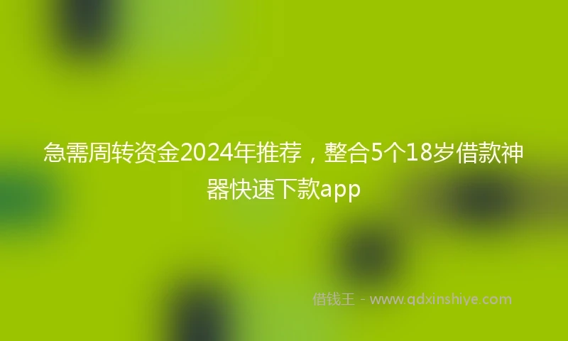 急需周转资金2024年推荐，整合5个18岁借款神器快速下款app