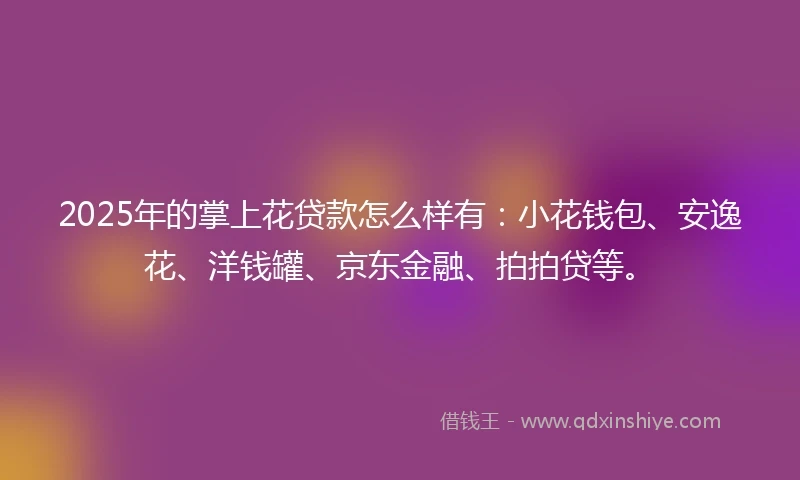 2025年的掌上花贷款怎么样有：小花钱包、安逸花、洋钱罐、京东金融、拍拍贷等。