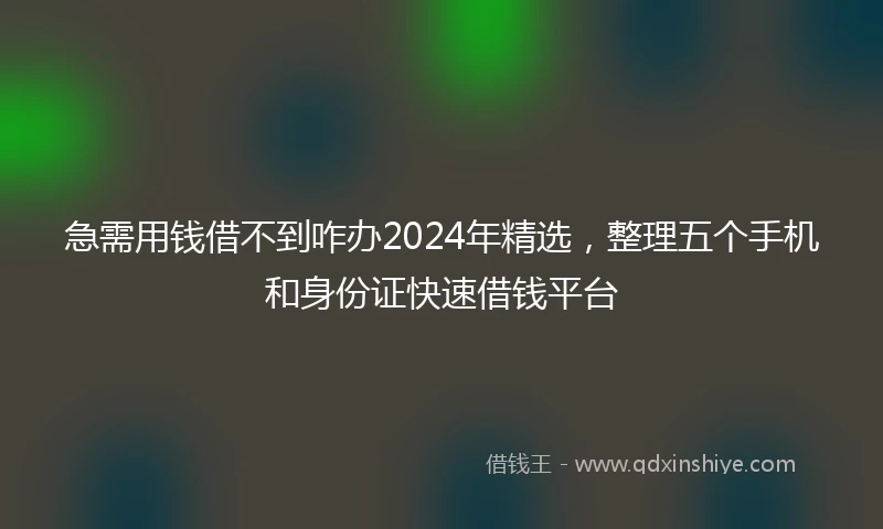 急需用钱借不到咋办2024年精选，整理五个手机和身份证快速借钱平台