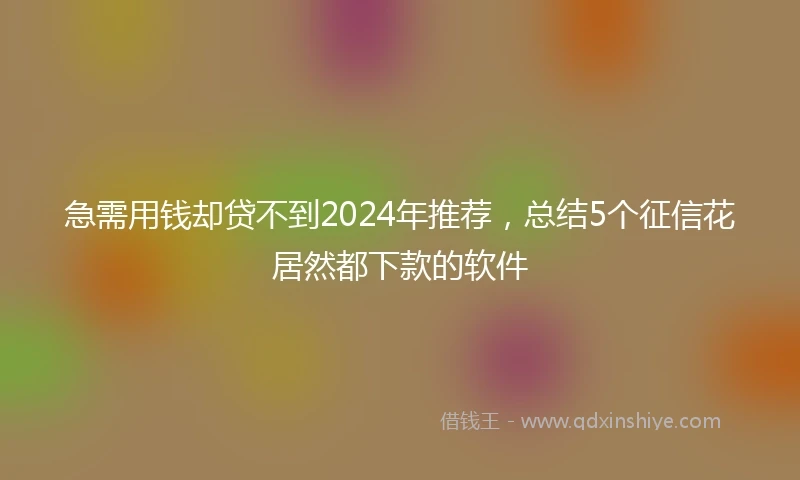 急需用钱却贷不到2024年推荐，总结5个征信花居然都下款的软件