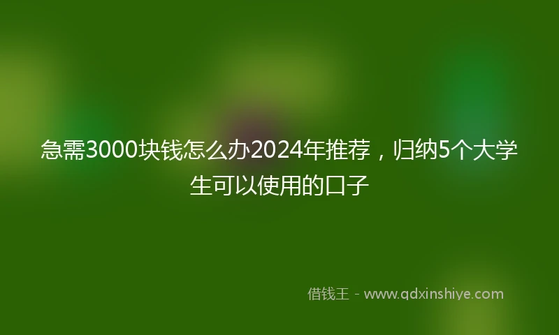 急需3000块钱怎么办2024年推荐，归纳5个大学生可以使用的口子