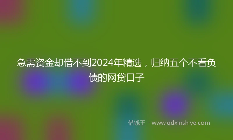 急需资金却借不到2024年精选，归纳五个不看负债的网贷口子