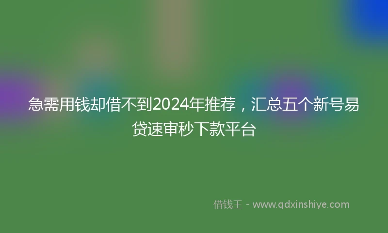 急需用钱却借不到2024年推荐，汇总五个新号易贷速审秒下款平台
