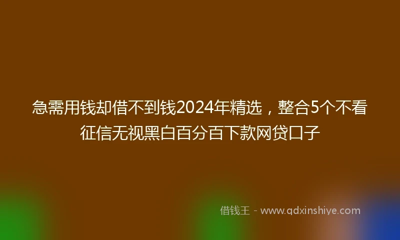急需用钱却借不到钱2024年精选，整合5个不看征信无视黑白百分百下款网贷口子