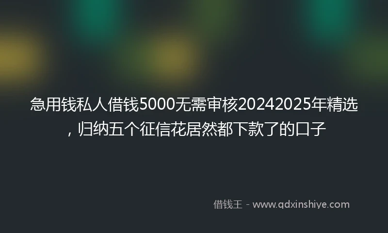 急用钱私人借钱5000无需审核20242025年精选，归纳五个征信花居然都下款了的口子