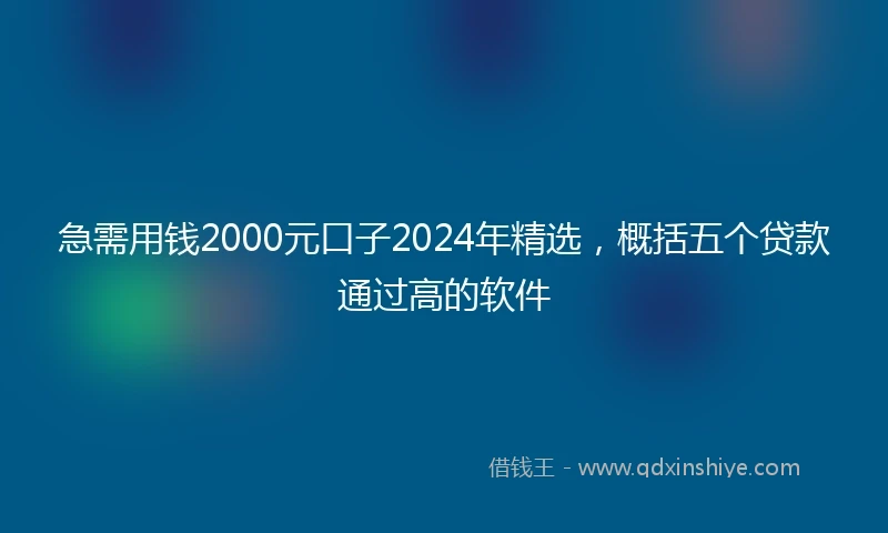 急需用钱2000元口子2024年精选，概括五个贷款通过高的软件