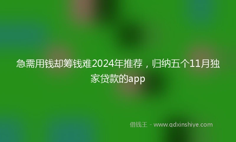 急需用钱却筹钱难2024年推荐，归纳五个11月独家贷款的app