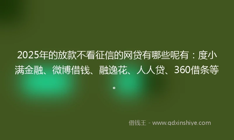 2025年的放款不看征信的网贷有哪些呢有：度小满金融、微博借钱、融逸花、人人贷、360借条等。
