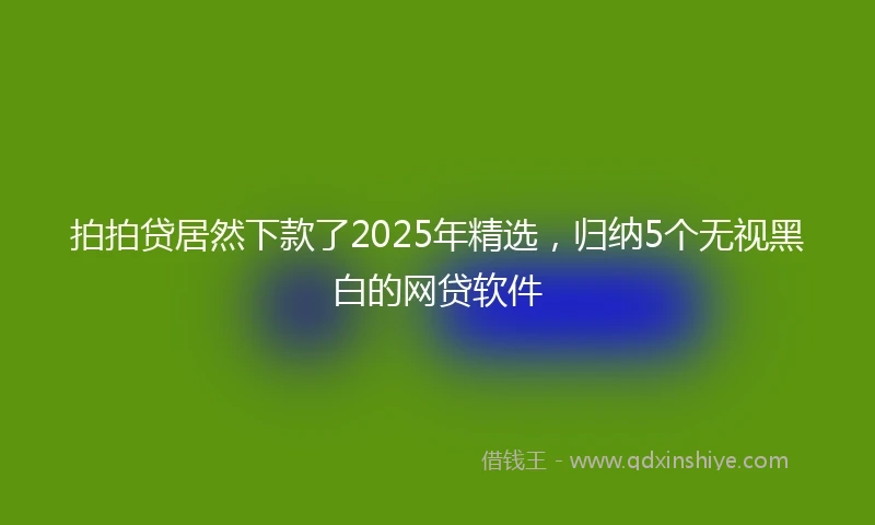 拍拍贷居然下款了2025年精选，归纳5个无视黑白的网贷软件